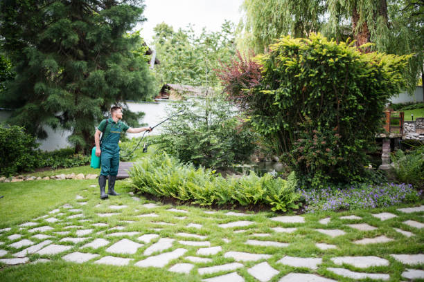Best Residential Pest Control  in Holyoke, CO