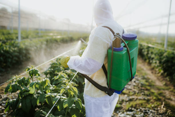 Best Wasp Removal Services  in Holyoke, CO